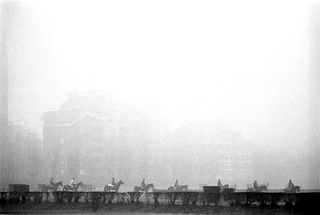 Sportivi, 033-253-25 Cavalli da corsa in allenamento durante una giornata di nebbia Ippodromo San Siro, Milano (Italia)